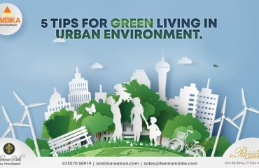 5 Tips for green living in urban environment.