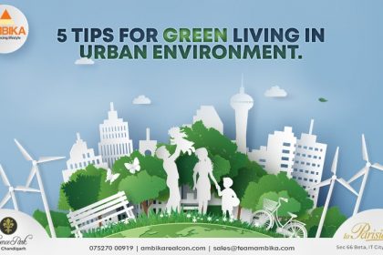 5 Tips for green living in urban environment.