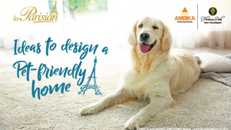 Ideas to Design a Pet-Friendly Home