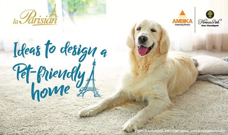 Ideas to Design a Pet-Friendly Home